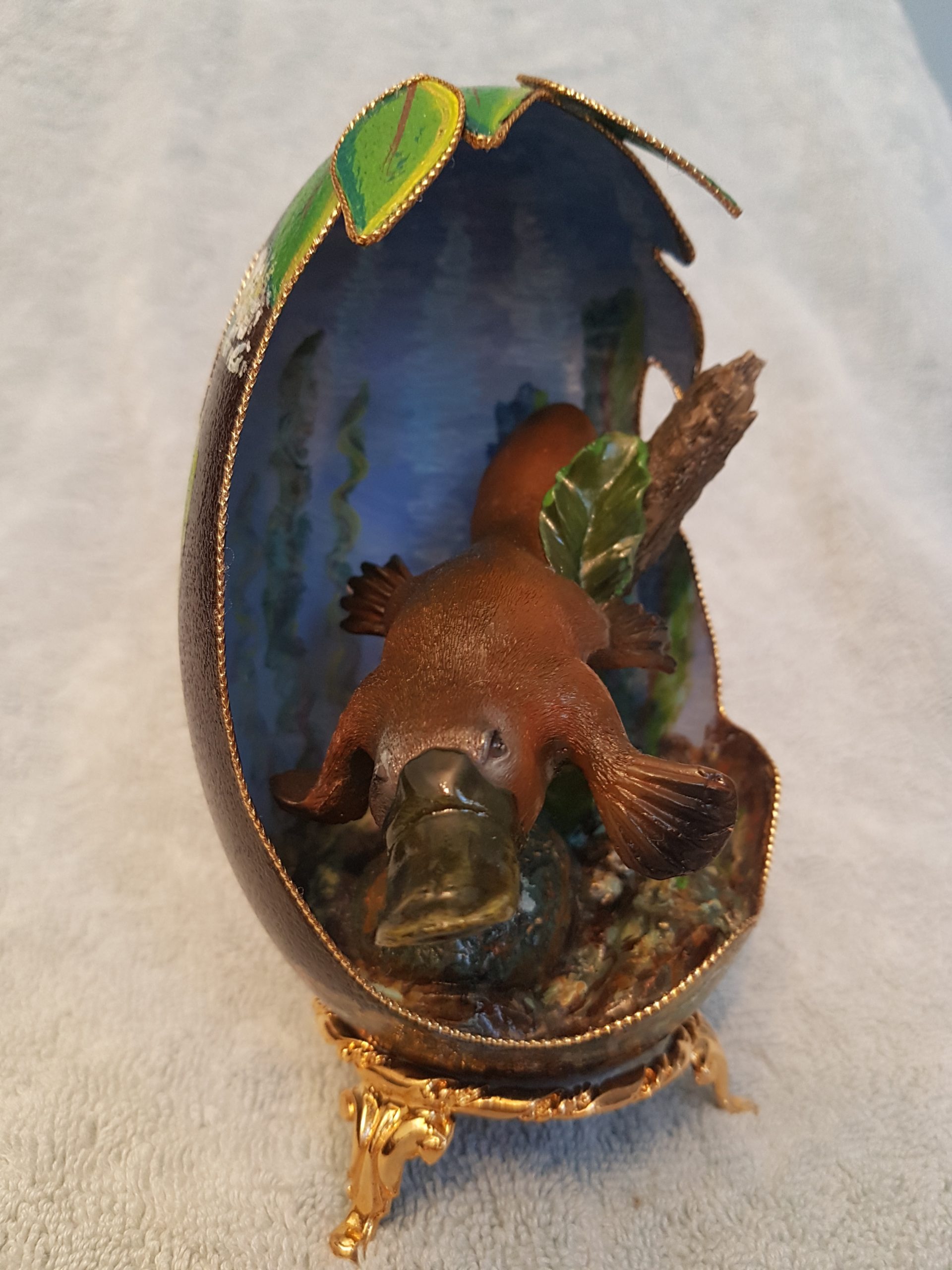 119 Swimming Free Platypus 6