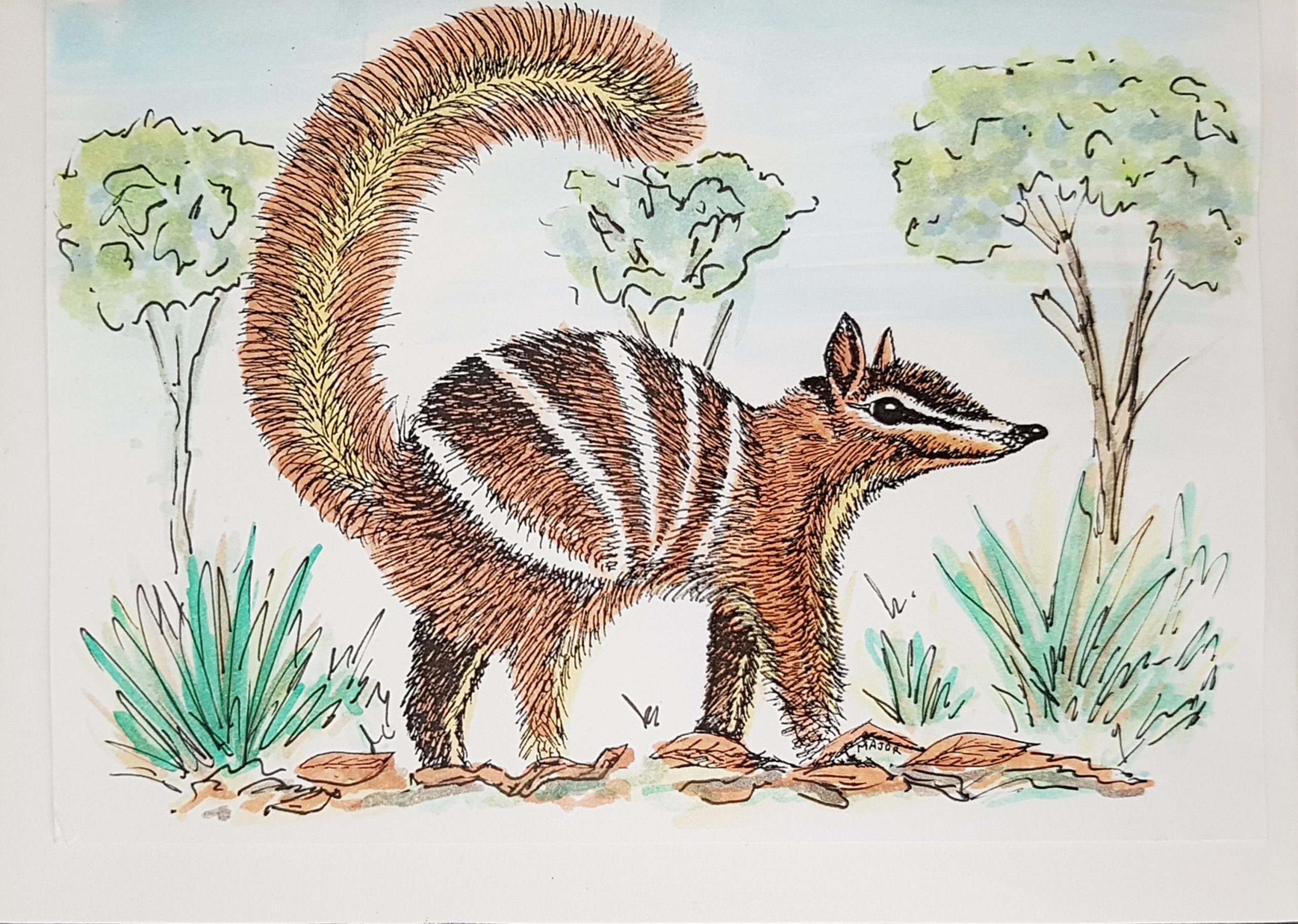 1605676984178-0161e4f3-5bbb-4935-9267-a84cea629afd_